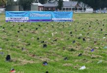 Spotlight on men’s health