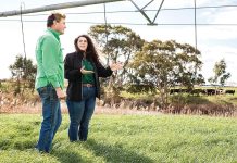 Irrigation incentives turn ideas into action for farmers