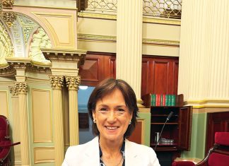 Field and Game’s gun law petition hits 12,000 signatures, triggering state parliament debate