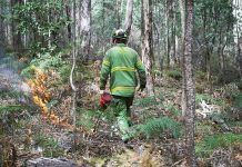 Planned burning reduces future bushfire risk