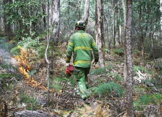 Vic forest firefighters secure pay rise