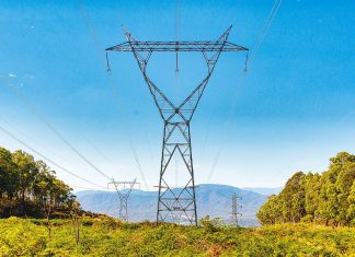 Less transmission, lower prices, Star of the South says