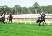 Blistering by name and nature