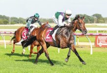 Favourites salute at Sale races