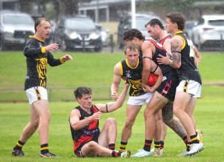 Tigers come close to breaking drought