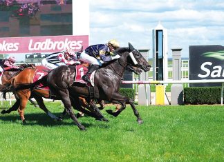 Thrilling finishes at Greenwattle