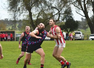 Big start for Bombers