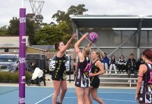 Battle of the Birds to begin GL season