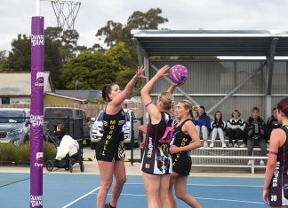 Battle of the Birds to begin GL season