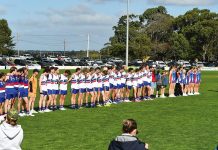 Footy Shorts with David Braithwaite