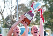 Swans now the hunted