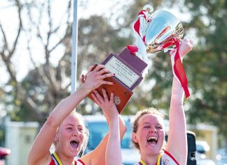 Swans now the hunted