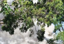 Hopes for old Sale police station land to be sold this year