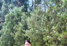 On the frontline of child protection