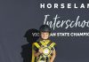 Individual equestrian excellence
