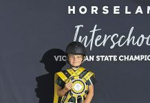 Individual equestrian excellence