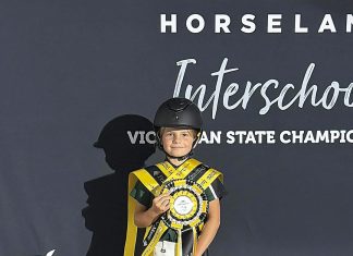 Individual equestrian excellence