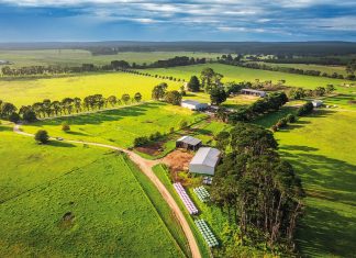 Mawarra land on the market