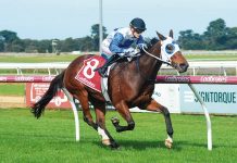 Locals come to the fore