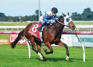 Locals come to the fore