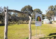 ‘Nuclear action’ part of Fingerboards assessment