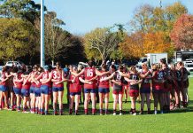 Wildcats continue winning ways
