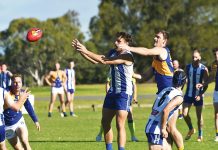Cougars out-gun Roos