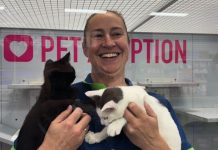 Petstock Sale hosting a pop-up adoption event this Sturday