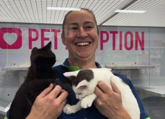 Petstock Sale hosting a pop-up adoption event this Sturday