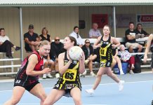 Pies’ powerful second half