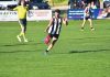 Big margins, Tigers to replace coach