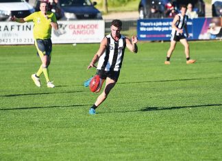 Big margins, Tigers to replace coach