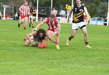 Swans fall short, Bombers surge late