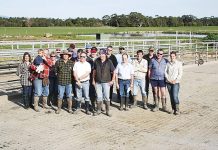 Thirty years of GippsDairy