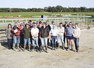 Thirty years of GippsDairy