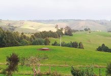 Planning ahead key as farmers prepare for El Niño