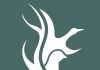 GMA releases deer harvest report