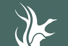 GMA releases deer harvest report