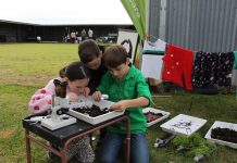 Veggies and Wedgies finals with Wellington schools