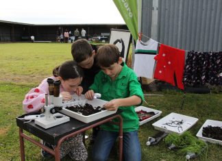 Veggies and Wedgies finals with Wellington schools