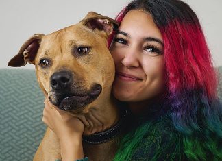 Pet Adoption Month a success in Sale