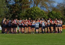 Youth shines in Bombers-Wildcats FFG double