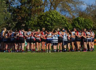 Youth shines in Bombers-Wildcats FFG double