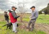 Gippsland farmers testing irrigation systems powered by AI tech