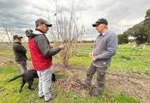 Gippsland farmers testing irrigation systems powered by AI tech