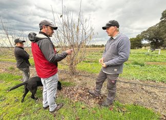 Gippsland farmers testing irrigation systems powered by AI tech