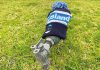 Protect your water meter from winter weather