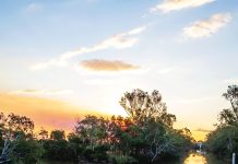 WGCMA’s photo competition winner crowned