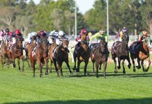 Stewards overturn result after protest