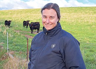 Focusing on weighty weaners